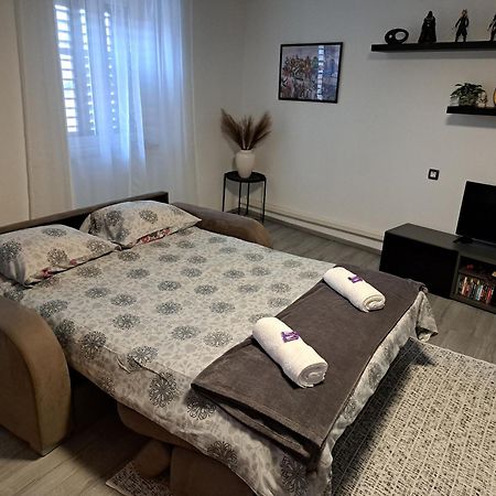 Apartman Darija Pazin Exteriör bild