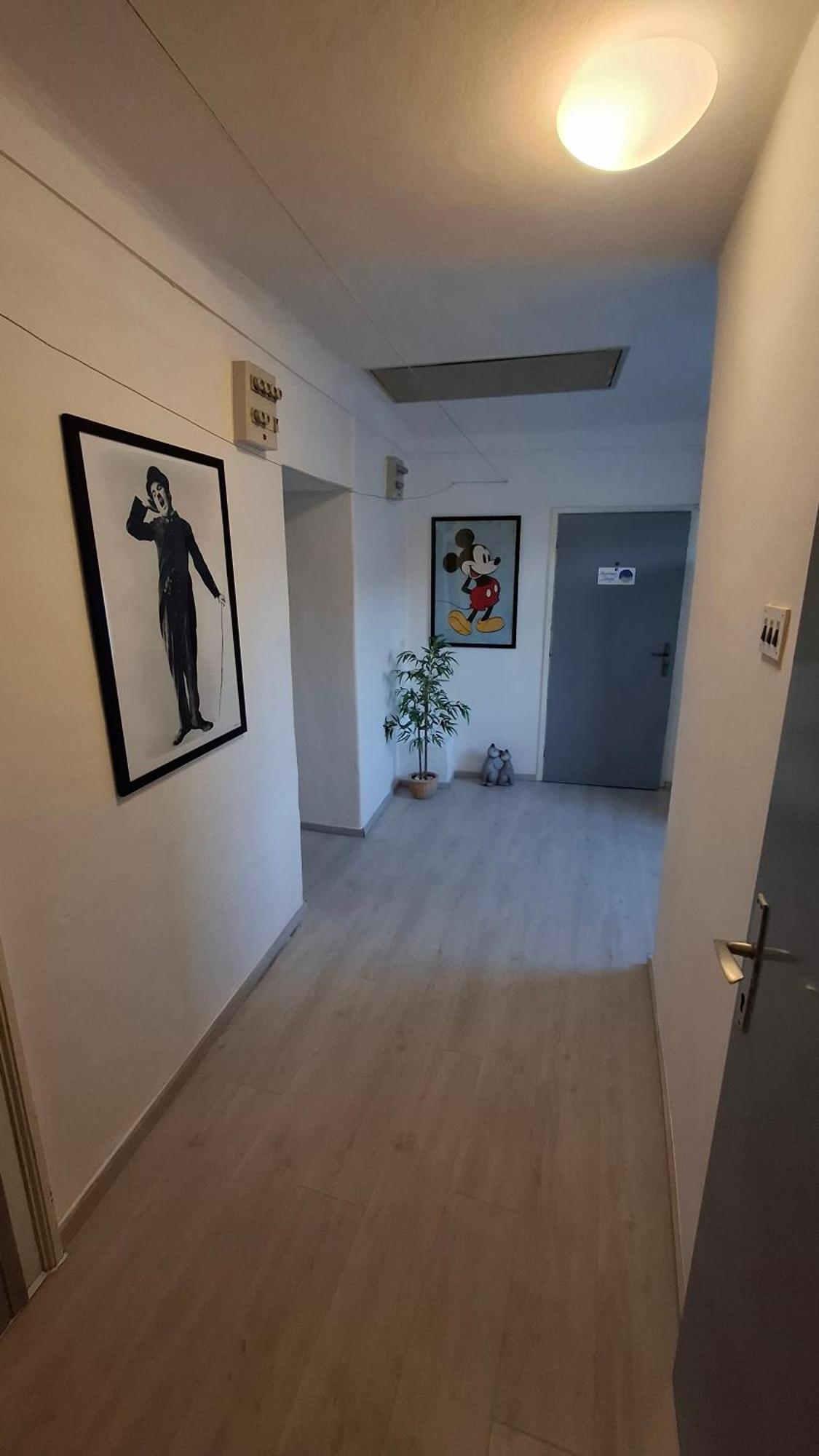 Apartman Darija Pazin Exteriör bild